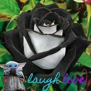 Meet your Posher, Susie